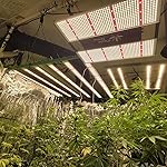 Review Image by TROLL TROVE CANNA-GENETICS TROLL TROVE CANNA-GENETICS