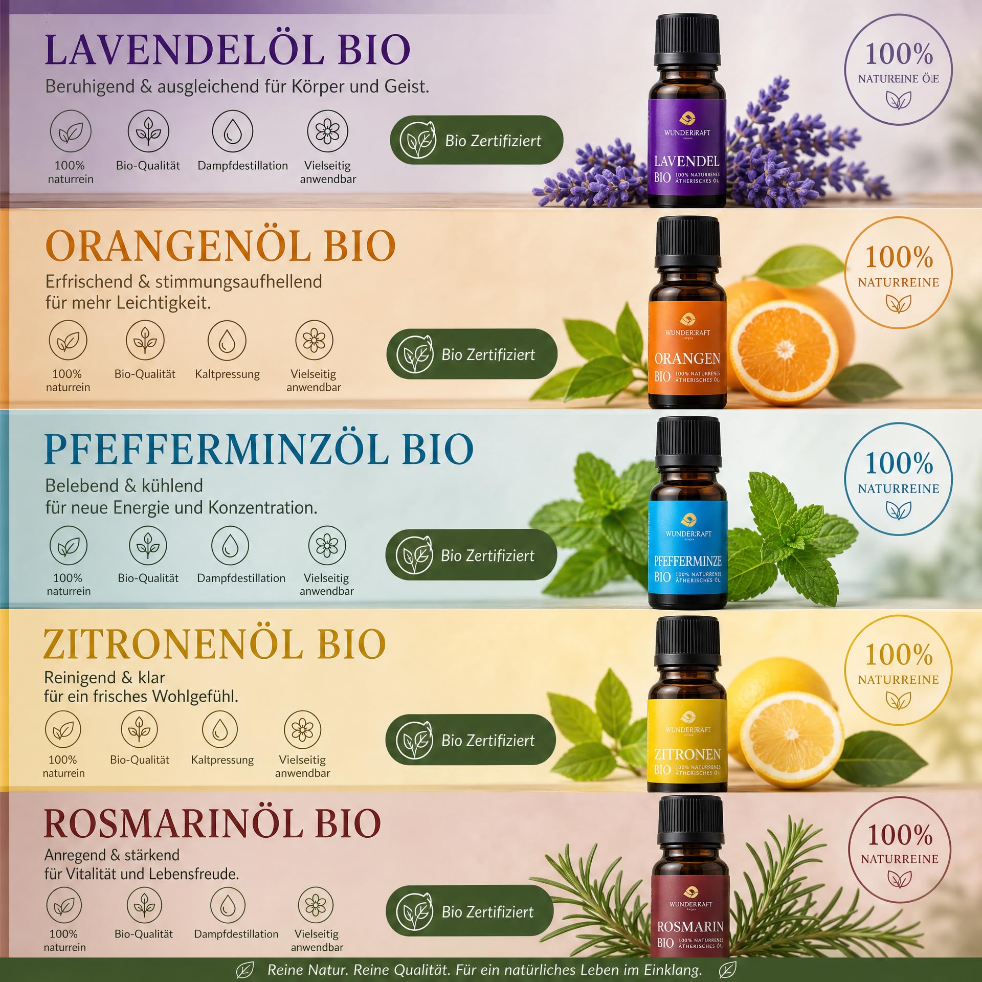 Bio Ätherische Öle Geschenkset 5 x 10 ml, Lavendel, Orange, Zitrone, Pfefferminze & Rosmarin – Naturreine Bio Duftöle in handgefertigter rustikaler Holzkiste, Für Diffuser, Aromatherapie, Saunaaufguss