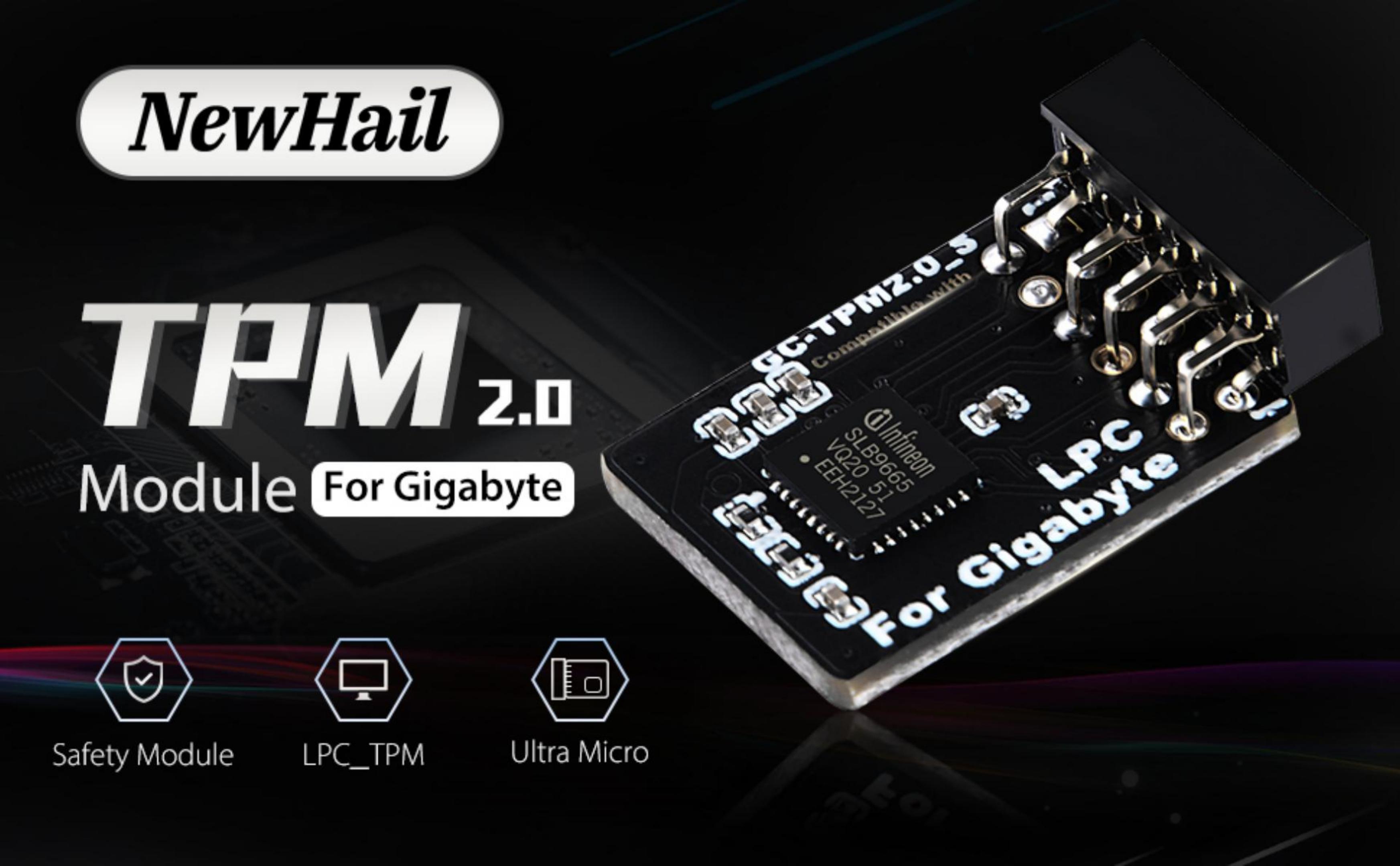 Amazon.com: NewHail TPM2.0 Module LPC 12Pin Module with