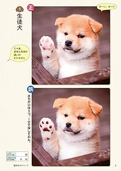 毎日脳活スペシャル いぬのまちがいさがし 豆柴だらけの巻 ワン