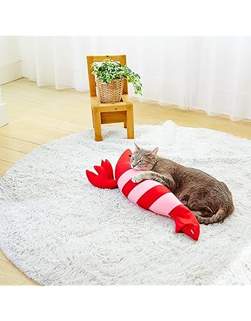 猫用おもちゃ 通販 Amazon 猫用おもちゃ 通販 Amazon