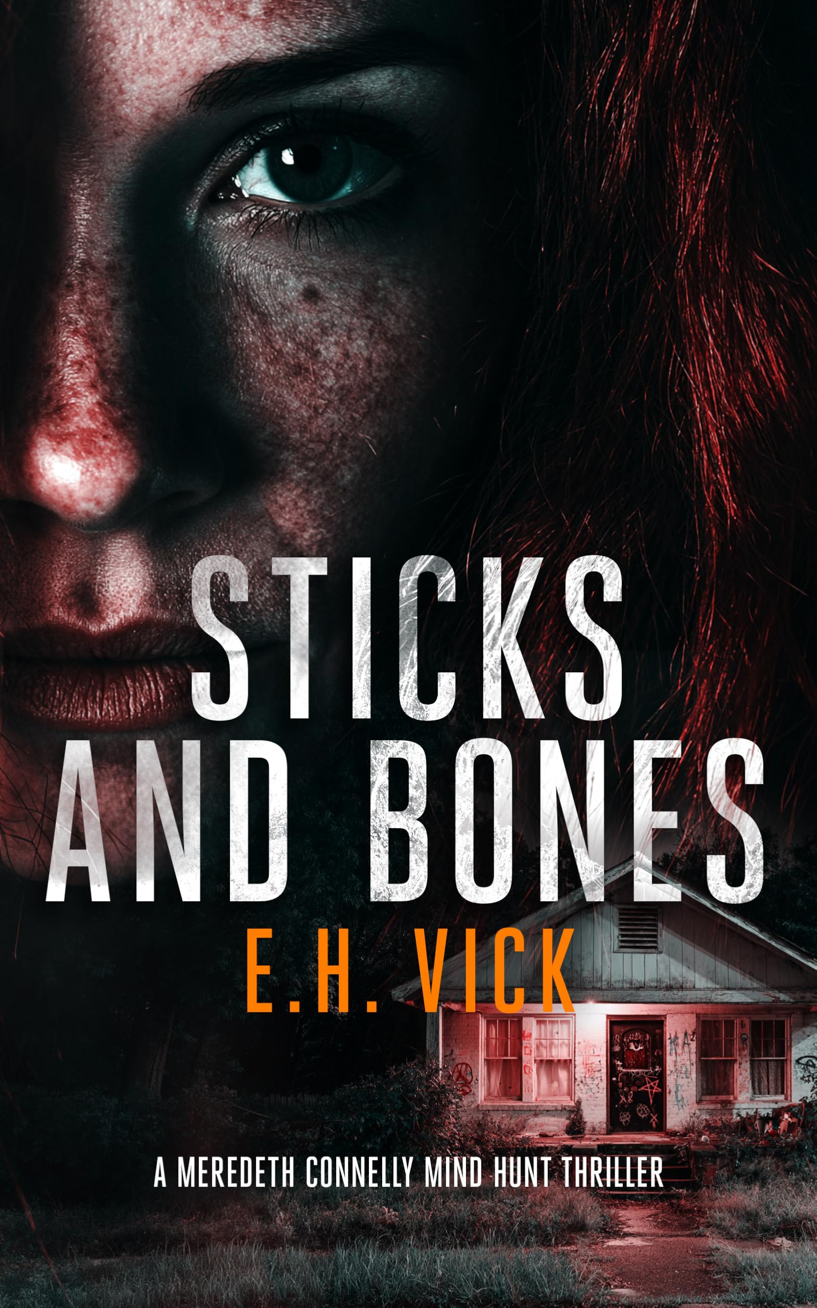 Sticks and Bones: 4 (Meredeth Connelly Mind Hunt Thrillers)