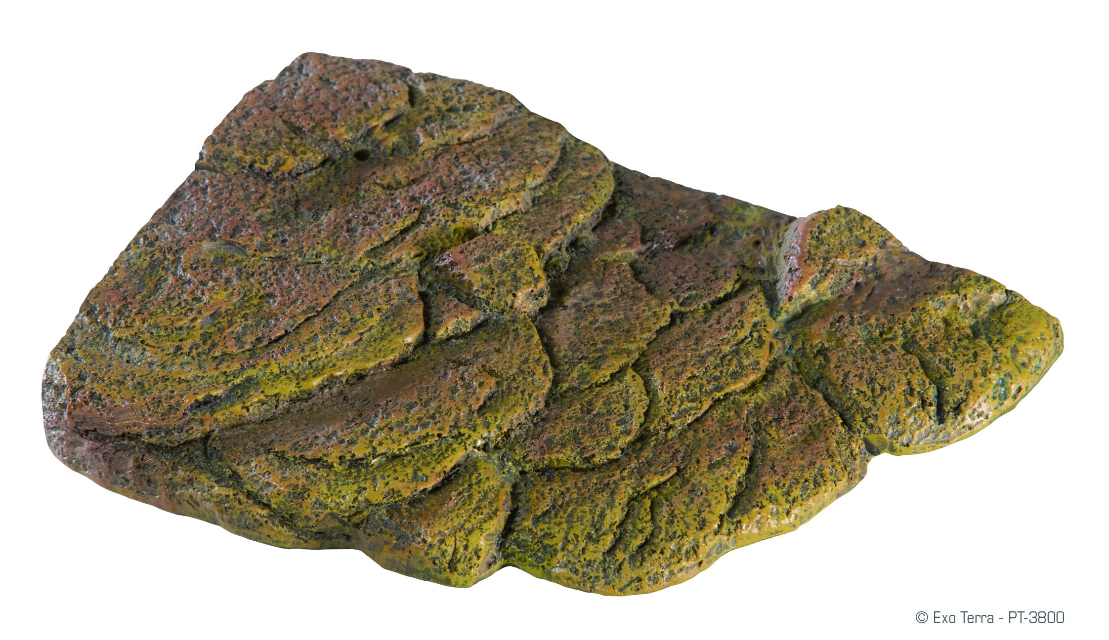 jekkusu Turtle Bank Small PT3800