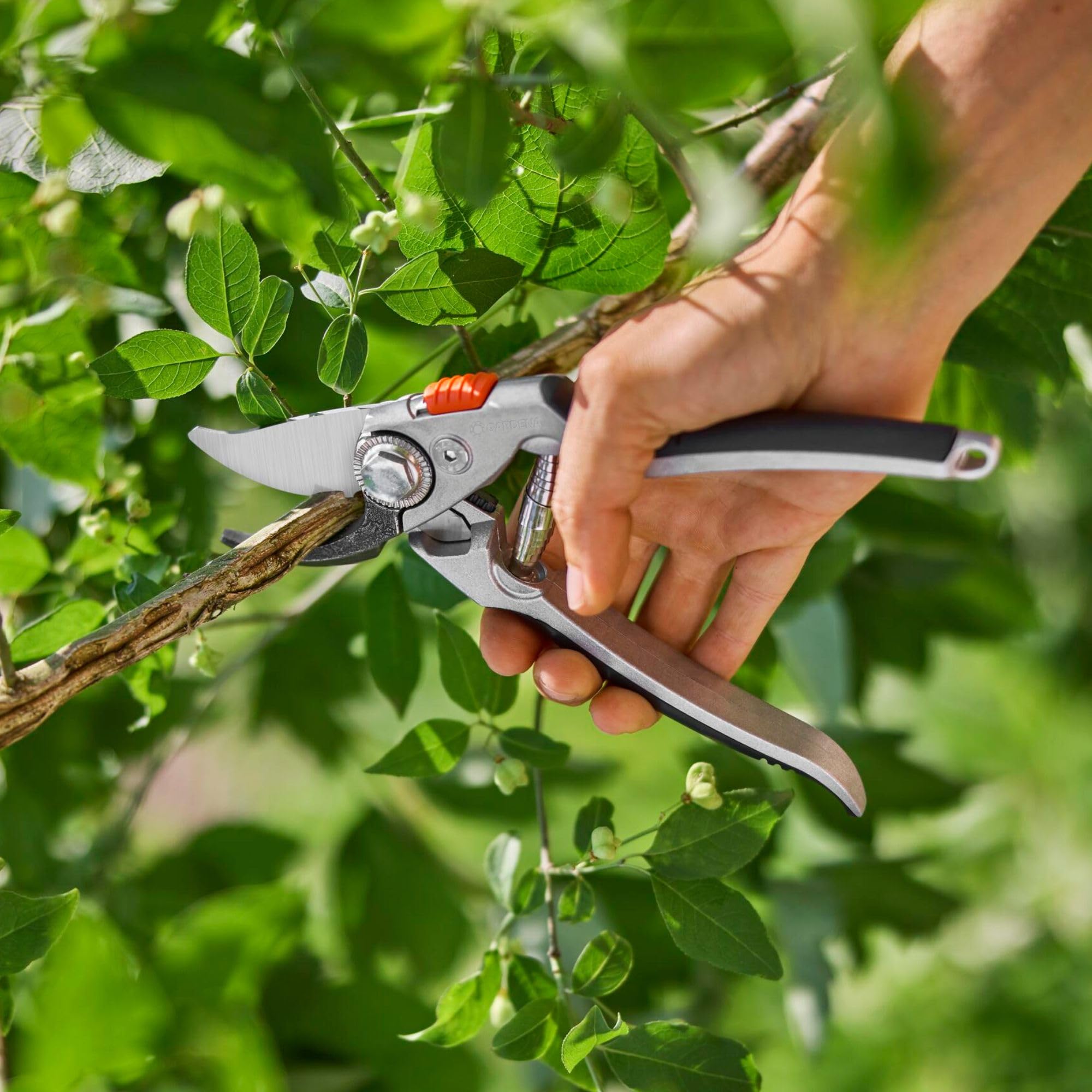 Tijeras de podar B+/L de aluminio Gardena: cortarramas premium bypass para ramas duras y tallos, robusta empuñadura de aluminio, cuchillas intercambiables, diámetro máx. de corte 24 mm (8702-20)