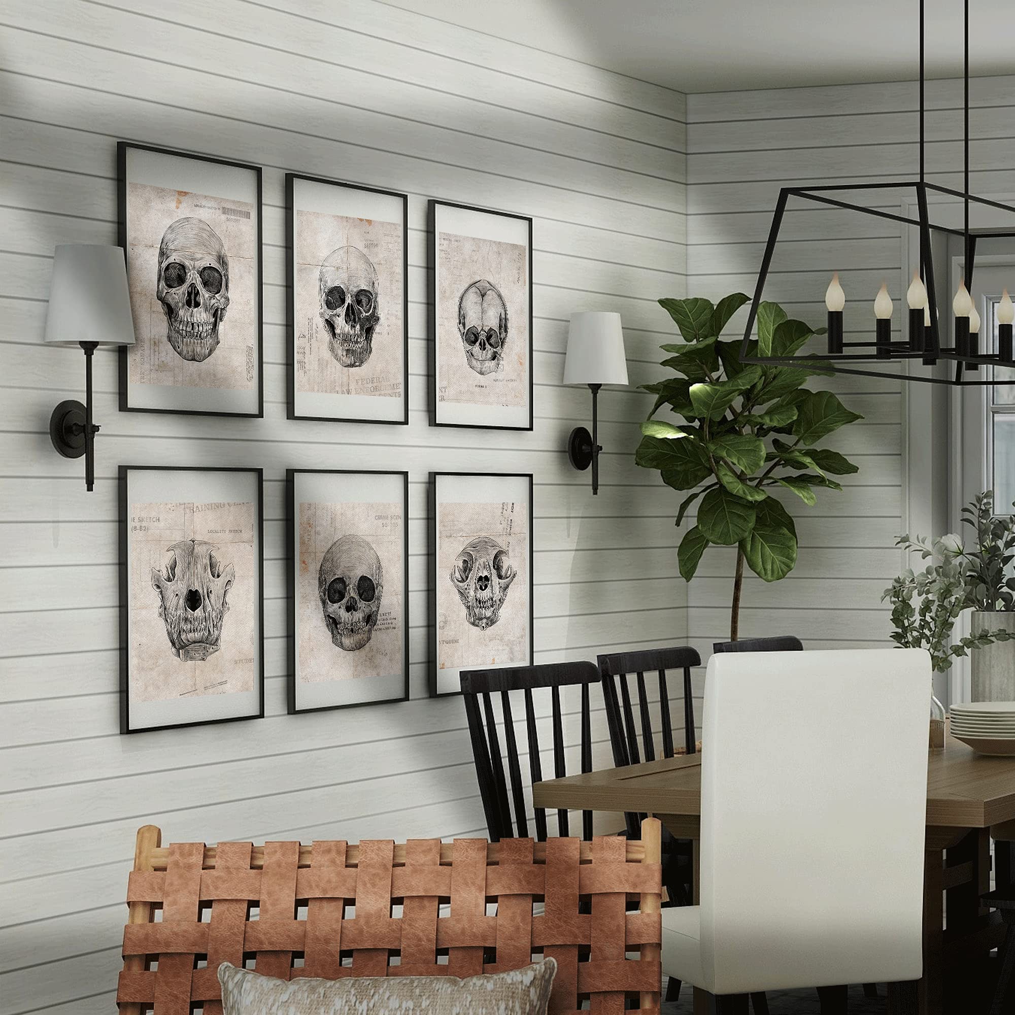 Skull Poster Set 8x10 UNFRAMED Skeleton Poster Skull Wall Decor