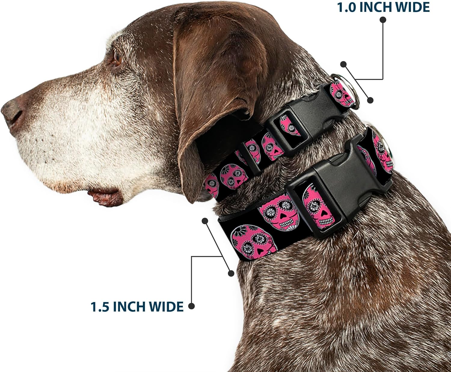 Buckle-Down Plastic Clip Collar - Sugar Skulls Black/White/Fuchsia - 1.5" Wide - Fits 13-18" Neck - Small
