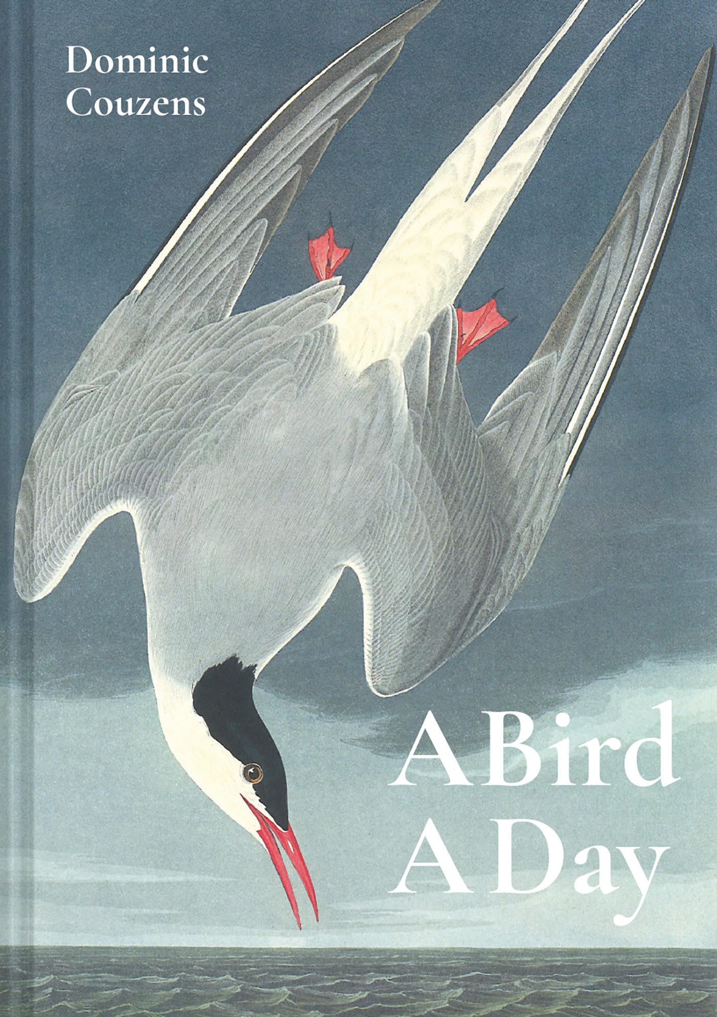 A Bird A Day by Couzens, Couzens,  New 9781849945868 Fast Free Shipping^*