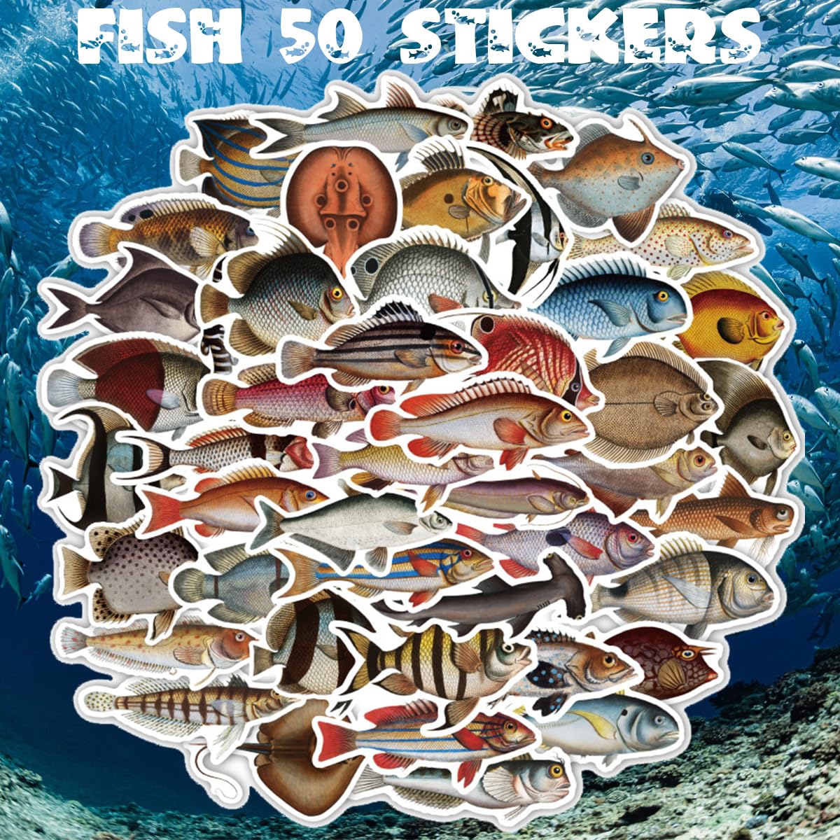 Amazon.co.jp: 海の魚 ステッカー 50枚セット PVC 防水 シール 魚