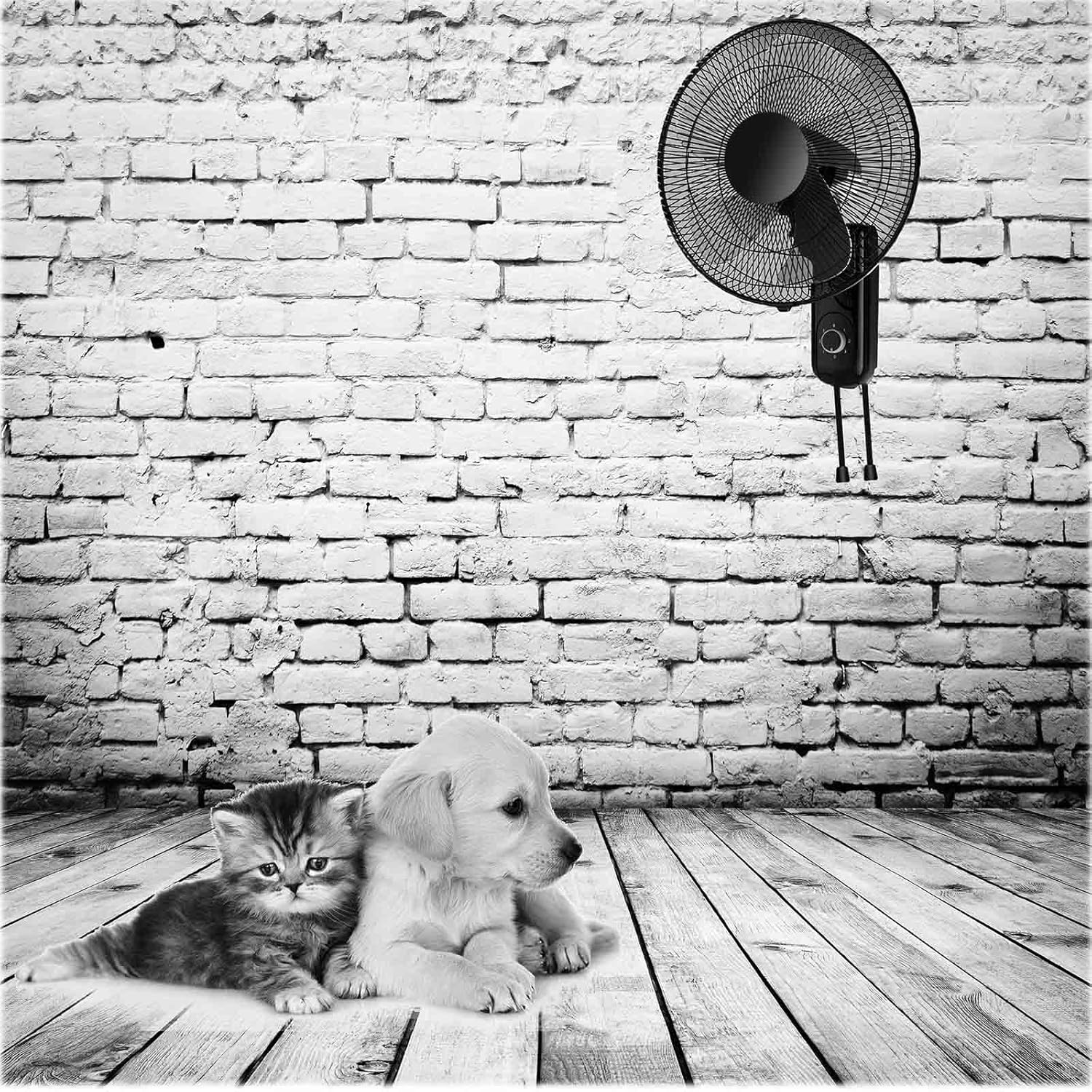 Wall Mounted Fan For Gym,18 Inch Outdoor Wall Mount Fan