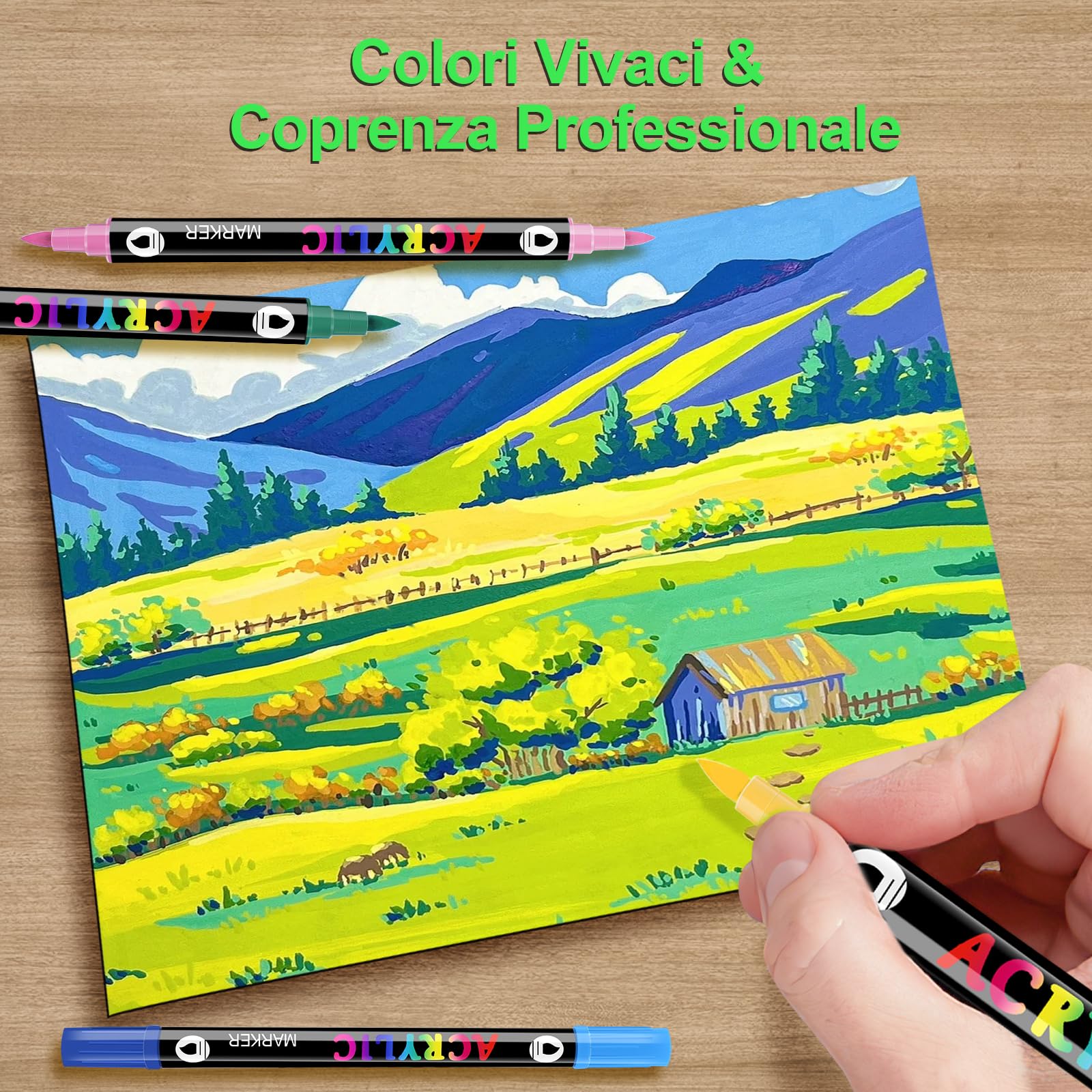 168 Colori Pennarelli Acrilici Doppia Punta,Set Pennarelli Professionali | Punta fine e Media,Acrylic Marker Ad Acqua per Dipingere Sassi, Colorazione, Legno, Vetro, Tessuti, Pittura
