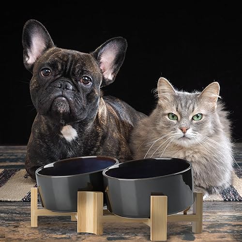 Miniatura 7 de SPUNKYJUNKY Cuenco de cerámica inclinado de 15 para perros y gatos con soporte de madera, cuenco inclinado para comida y agua para bulldog