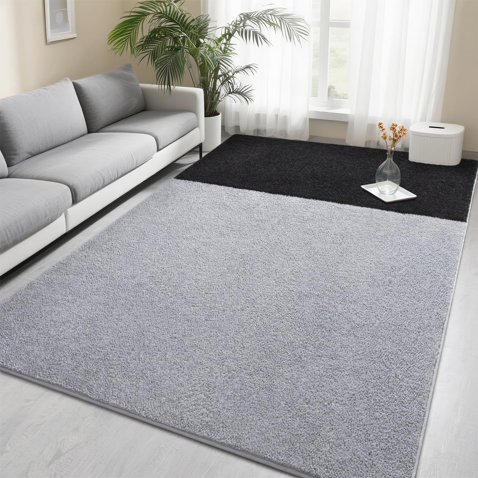 Foxmas 5x7 Area Rugs for Bedroom Living Room, Soft Thickened Memory Foam Carpet, Non-Slip Washable Indoor Modern Minimalist Shaggy Rug for Boys Girls