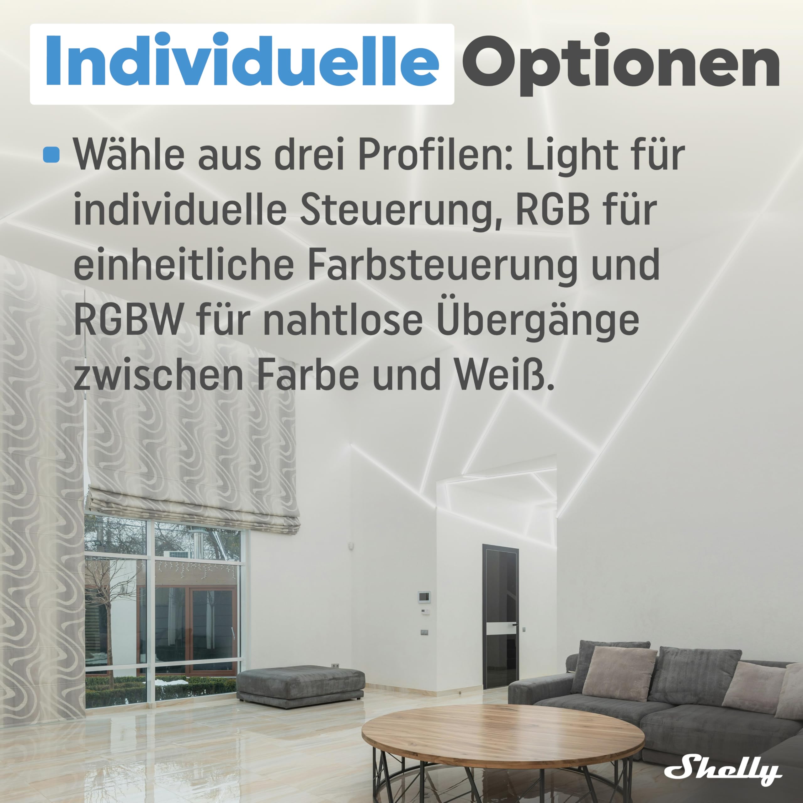 Shelly Plus RGBW PM WLAN Controller für LED-Streifen 12-24 VDC Dimmer Weißes Farbiges Licht Alexa Google Home 2 Stück