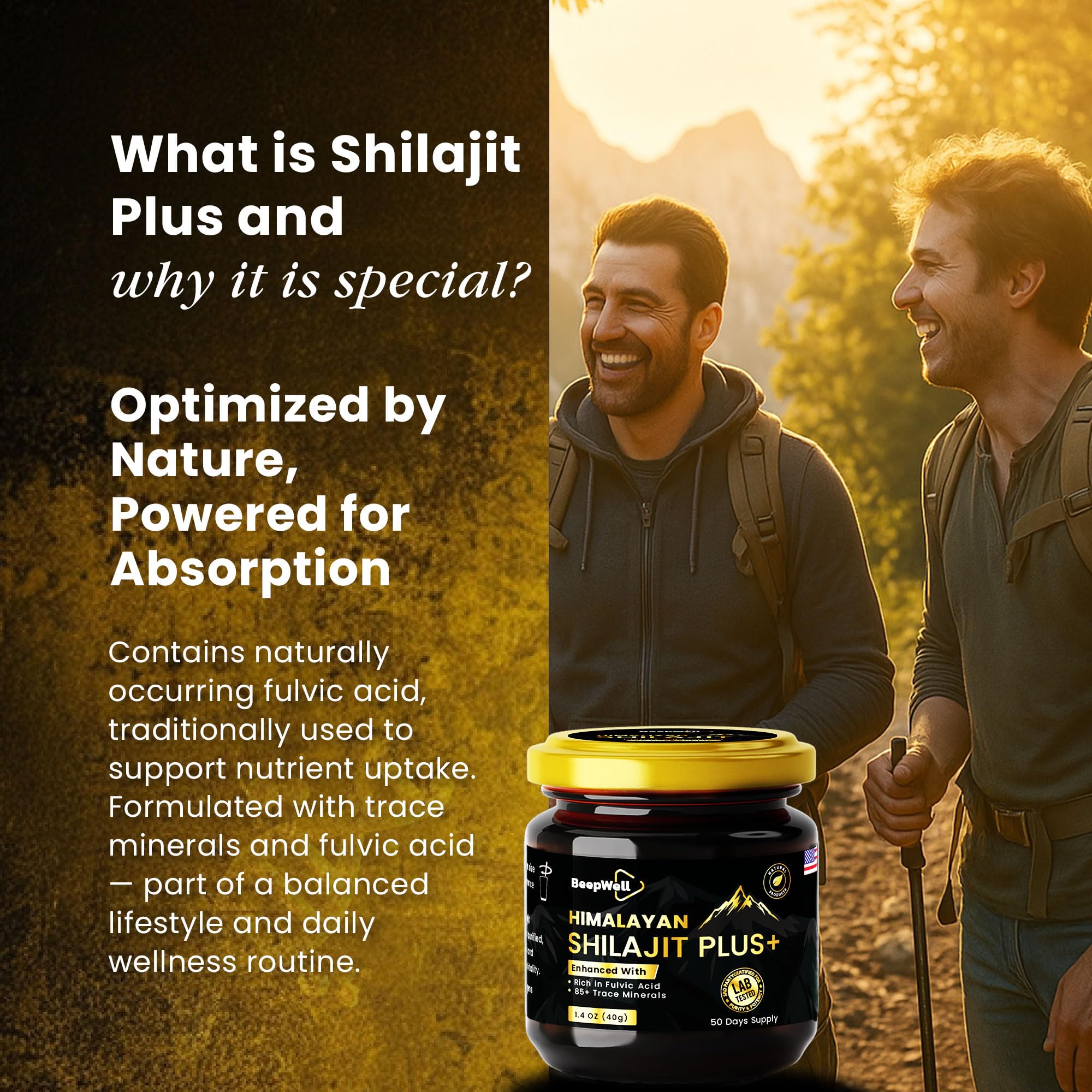 Natürliches Shilajit Pure Resine mit Ashwagandha & Schwarzem Pfeffer – Hochreines Himalaya resin mit Fulvinsäure & Mineralien – 40g – 50 Portionen