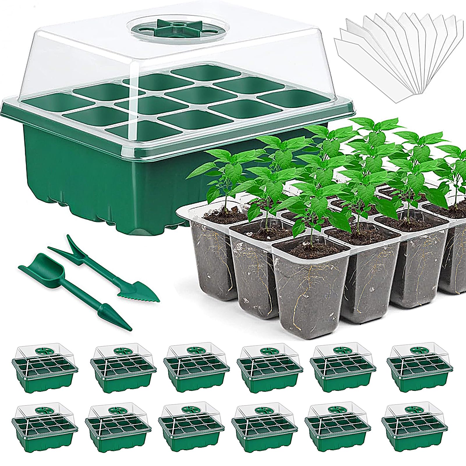 FabulasSeed Starter Tray Kit, 12 Packs Seedling Starting Trays with Humidity Dome and Base, Reusable 144 Cells Plant Germination Trays for Mini Greenhouse Propagator Indoor Garden