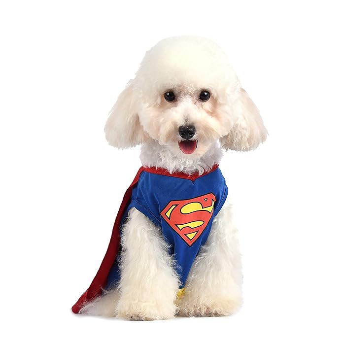 Buy DC Comics for Dogs Superman Dog Costume, Blue Superhero Costume