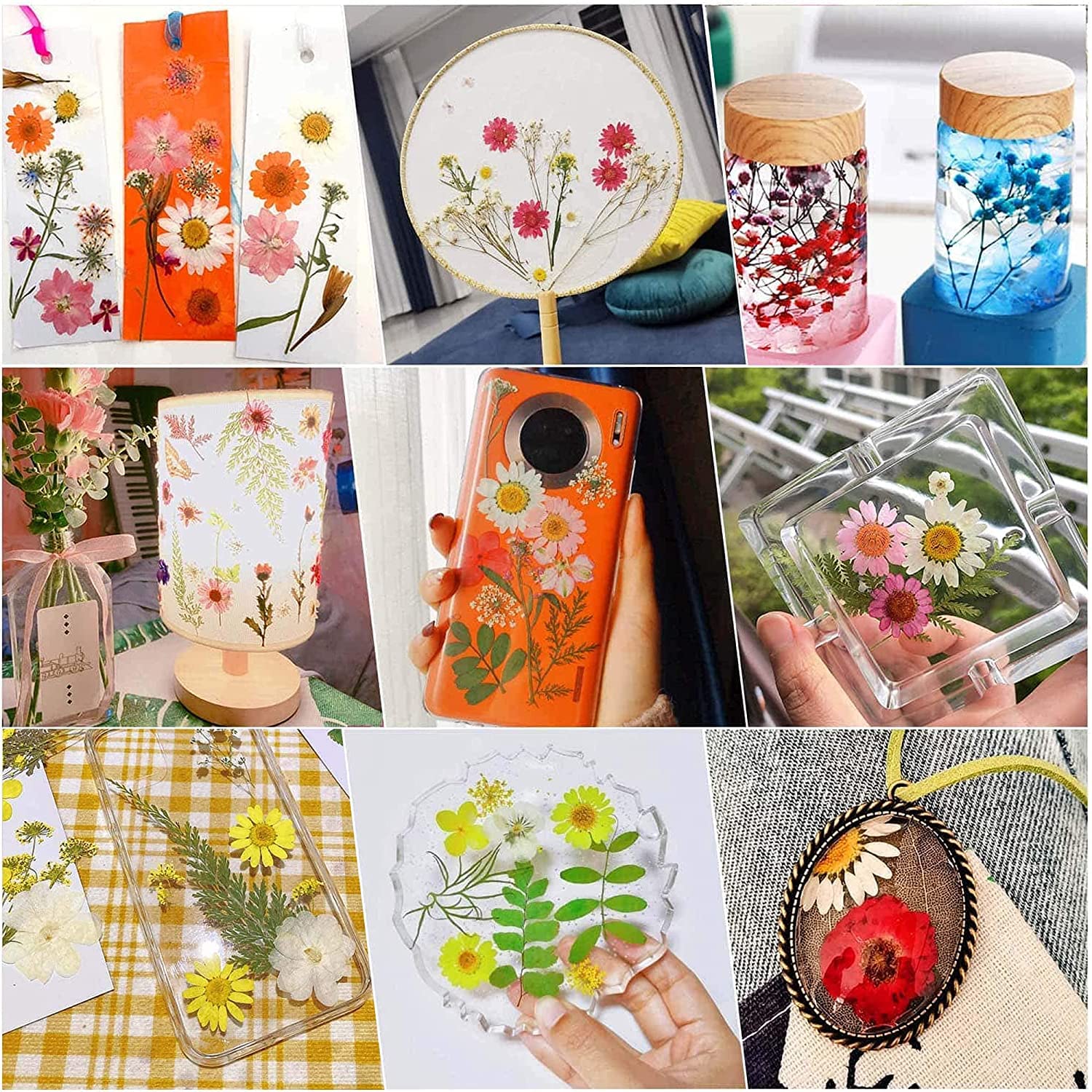 Cayway 8-pak suszonych kwiatów do form żywicznych, naturalne prasowane kwiaty i liście z naklejką motylkową do scrapbookingu, DIY