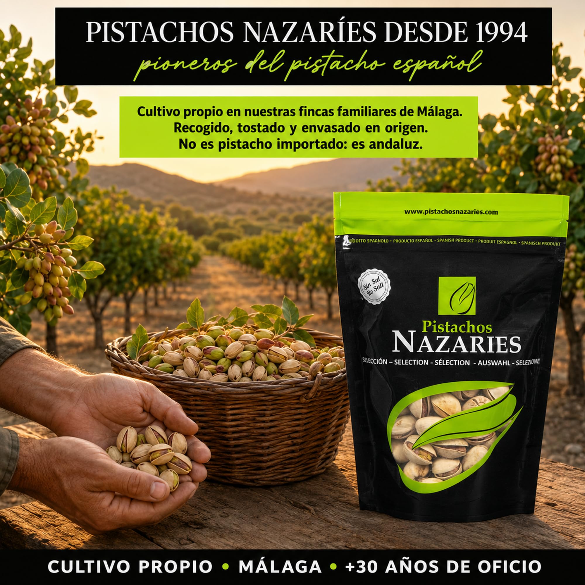 PISTACHOS NAZARIES Pistachos Tostados Sin Sal 8 x 120 g Pistacho Español Cultivo Propio Andalucia Malaga Snack Saludable Fitness Sin Gluten Frutos Secos Aperitivo Individual Para Llevar Gym Oficina