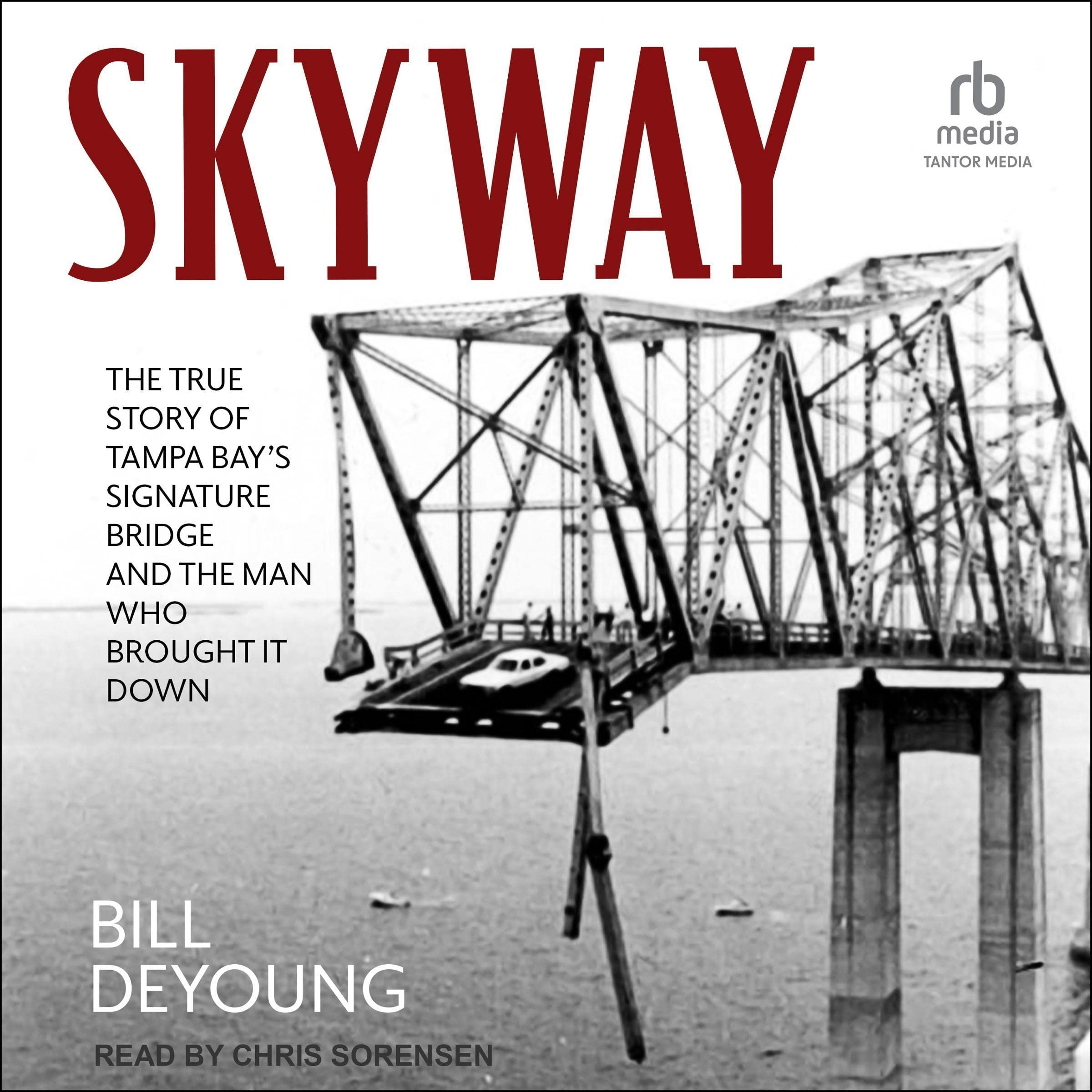 Cover art for Skyway