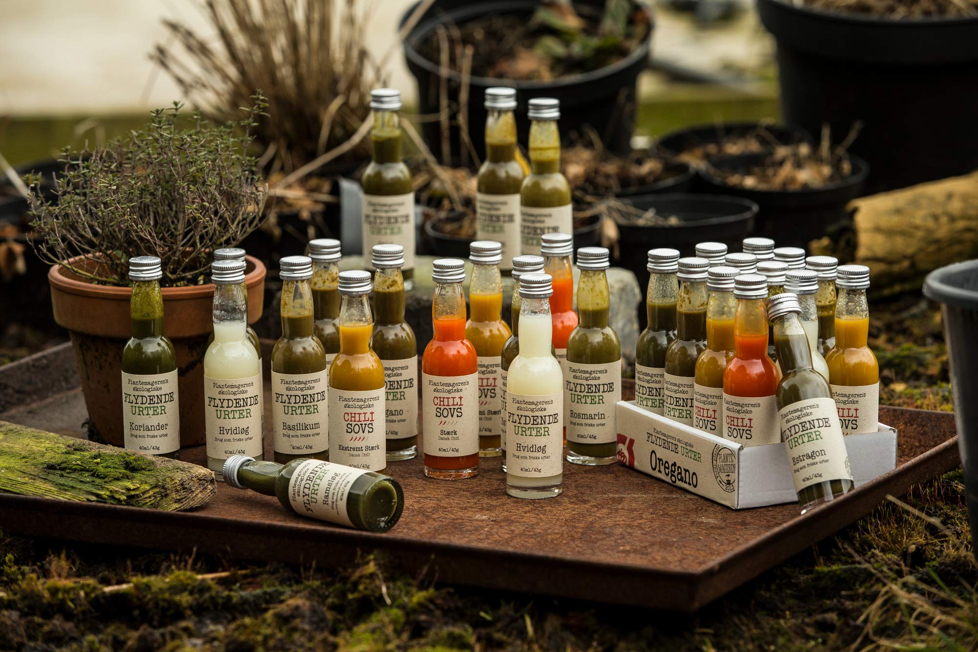 Plant Maker ”Flüssige Bio Kräuter” Rosmarin 40ml