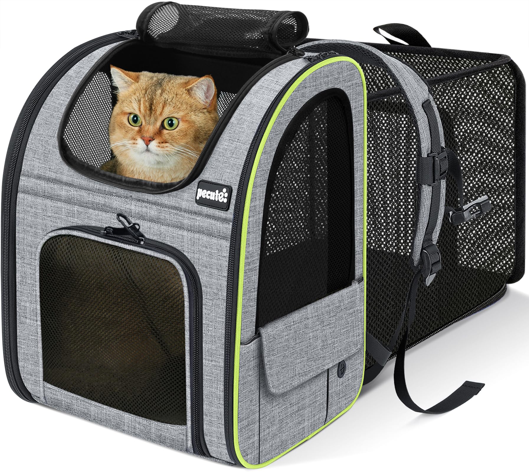 Cat Carrier Dog Backpack Expandable, Portable Breathable Rucksack with Front Opening-Mesh Window-Pockets, Extendable Back More Space Great For Carrying Puppy Dogs Cats Up to 8KG
