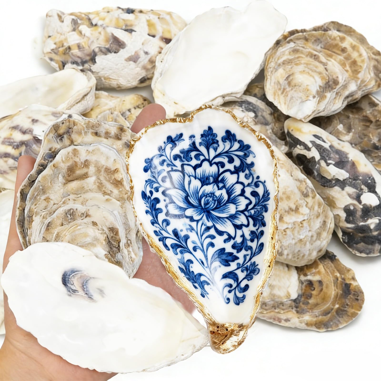 Photo 1 of 15PCS Natural Oyster Shells 4-5 in Uncarved Oyster Shells for Crafts, Hard Texture for DIY Arts Ornaments, Candle Holders, Coastal Decor & Art Projects