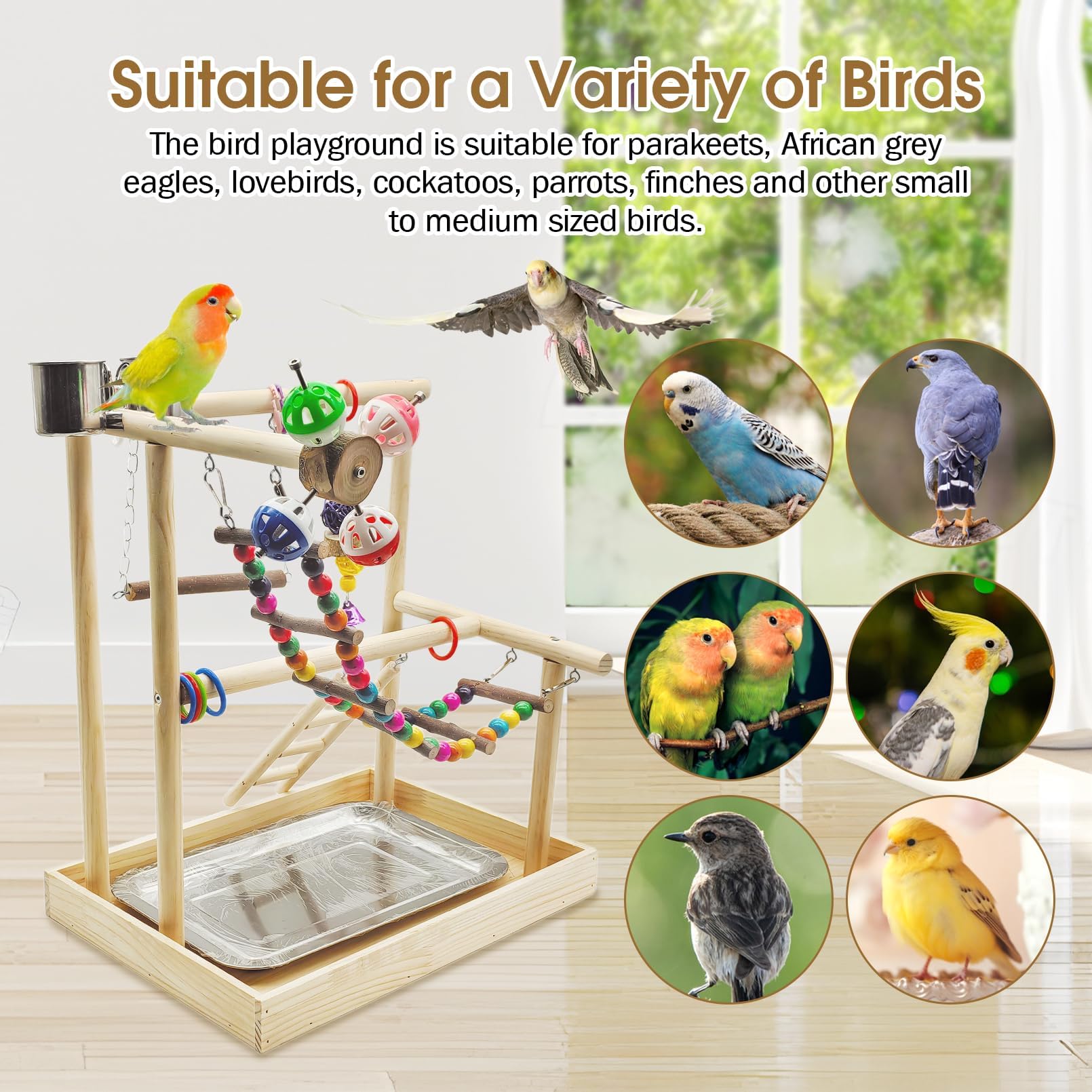 PINVNBY Bird Playground Parrot Playstand Play Gym Cockatiel Wood Bird Toys Birds Cage Accessories Playpen Ladder with Feeder Cups Hanging Swing Toys for Parakeet Conure Lovebird Cockatiel - image 6