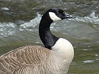 Review Image by S. Hendrix S. Hendrix