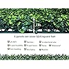 Product Photo 3