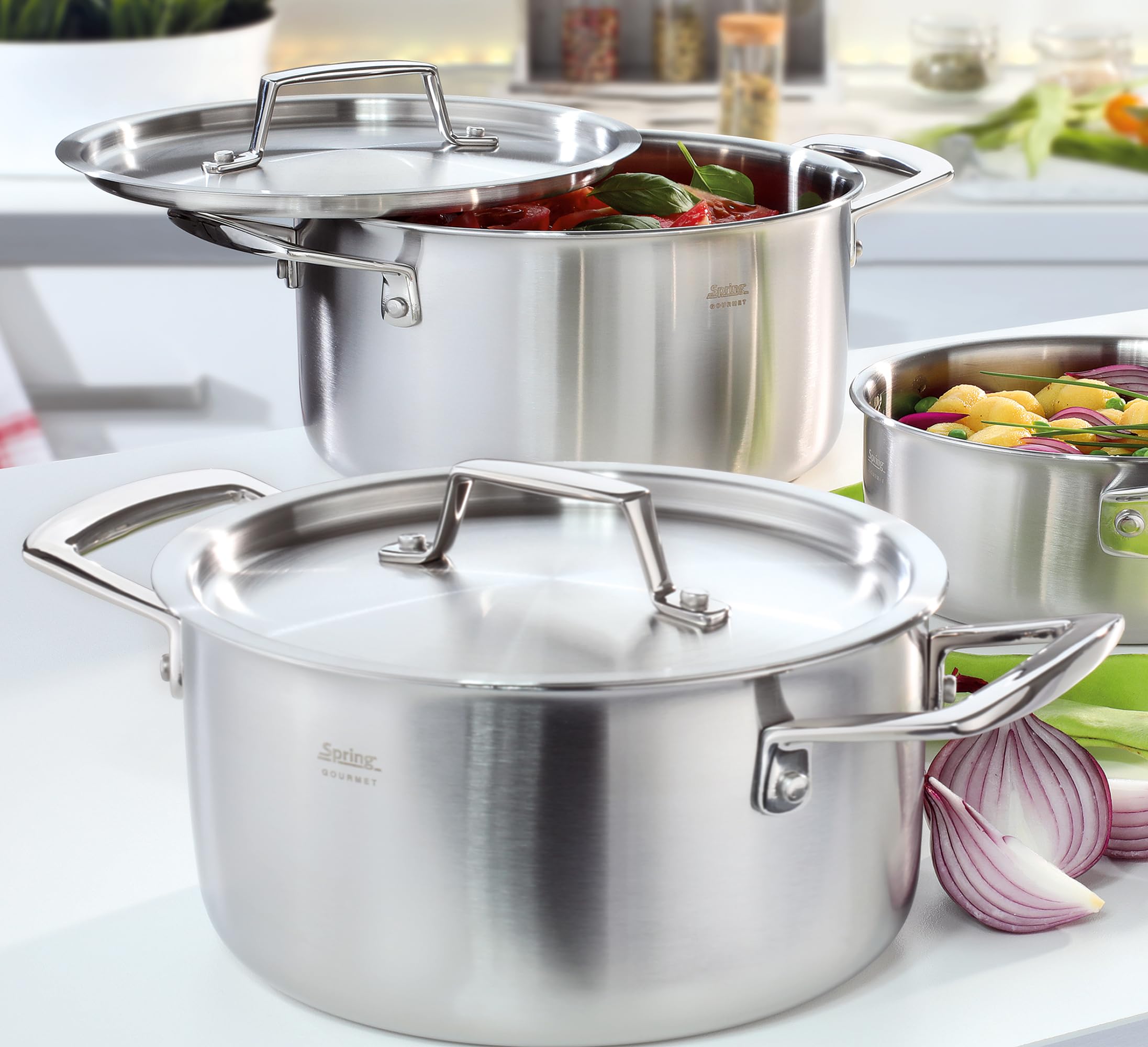 Spring GOURMET garnek do pieczenia z pokrywką Ø 20 cm, 2,7 l, stal nierdzewna, nadaje się do płyt indukcyjnych, nadaje się do piekarnika i mycia w zmywarce, wielowarstwowy, rdzeń aluminiowy, garnek do
