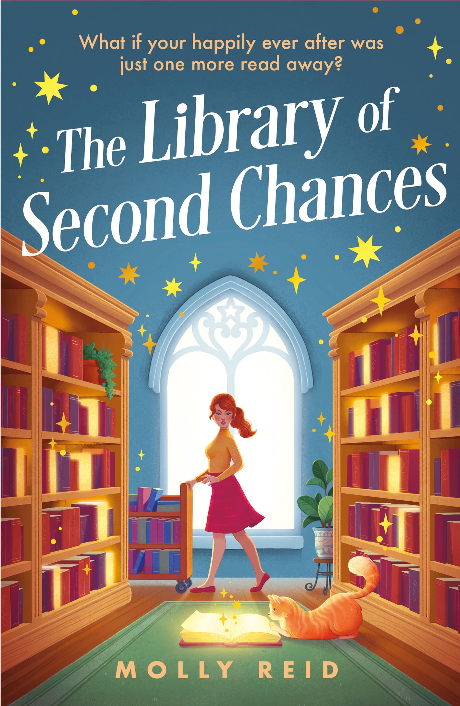 Library Of Second Chances