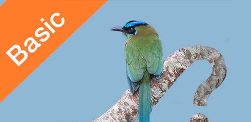 Panama Birds FGuide Basic