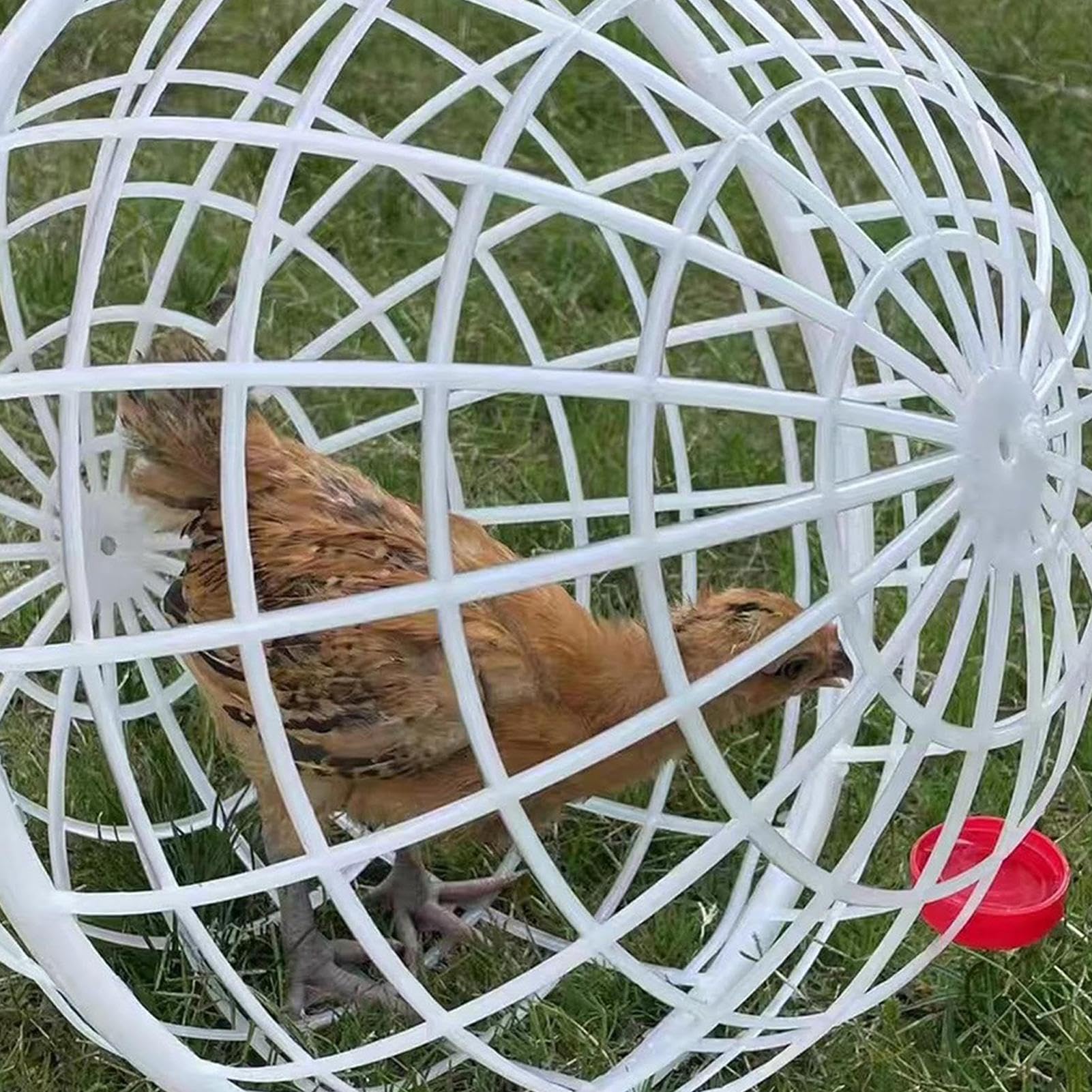 Jaula para Pollos, Jaula de Bolas de gallina, Jaula de Bolas de Pollo para Zonas Abiertas, Red de Senderismo, para Aves de Corral, cercado para Exteriores, Conejos y