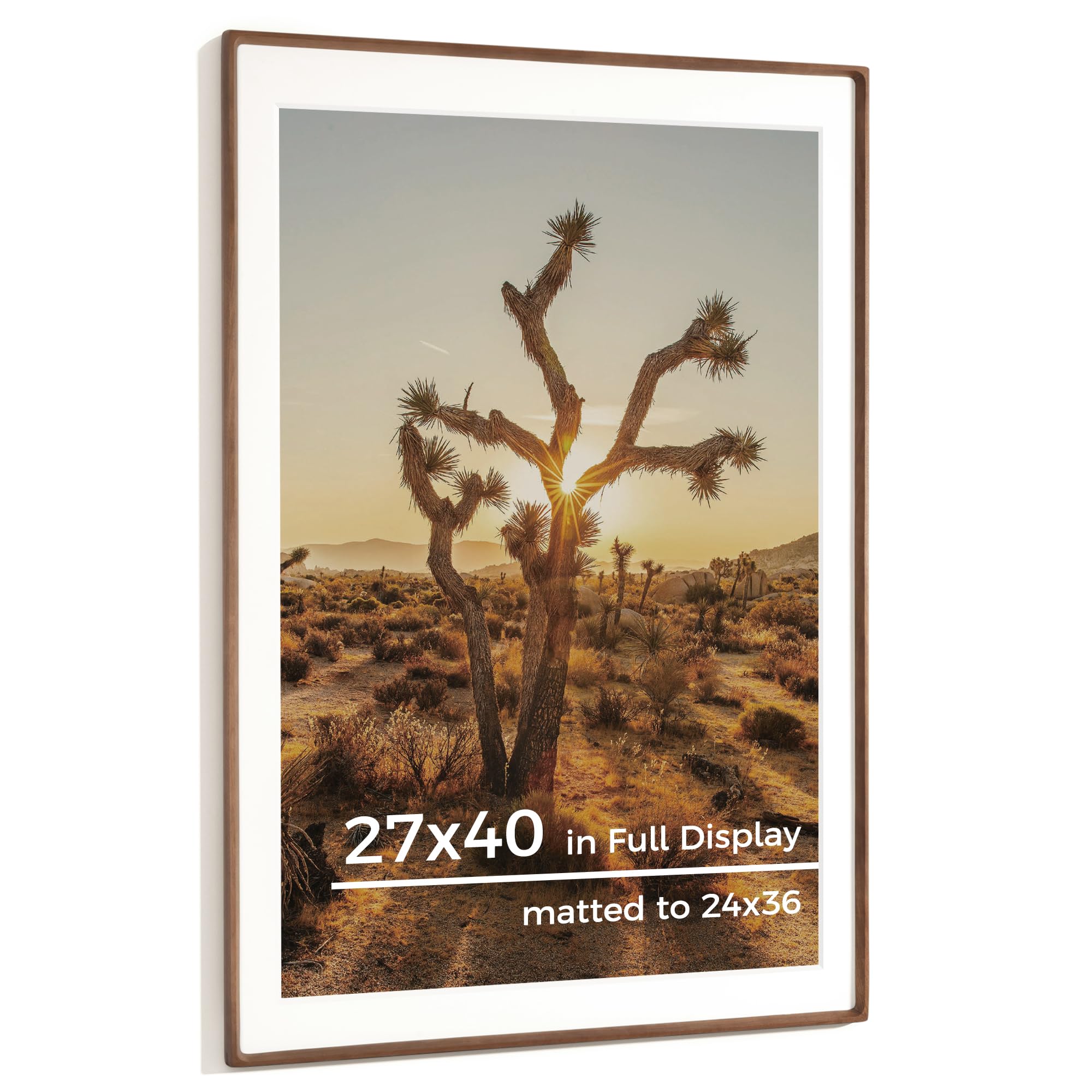 RICHFOCUS 27x40 Walnut Frame