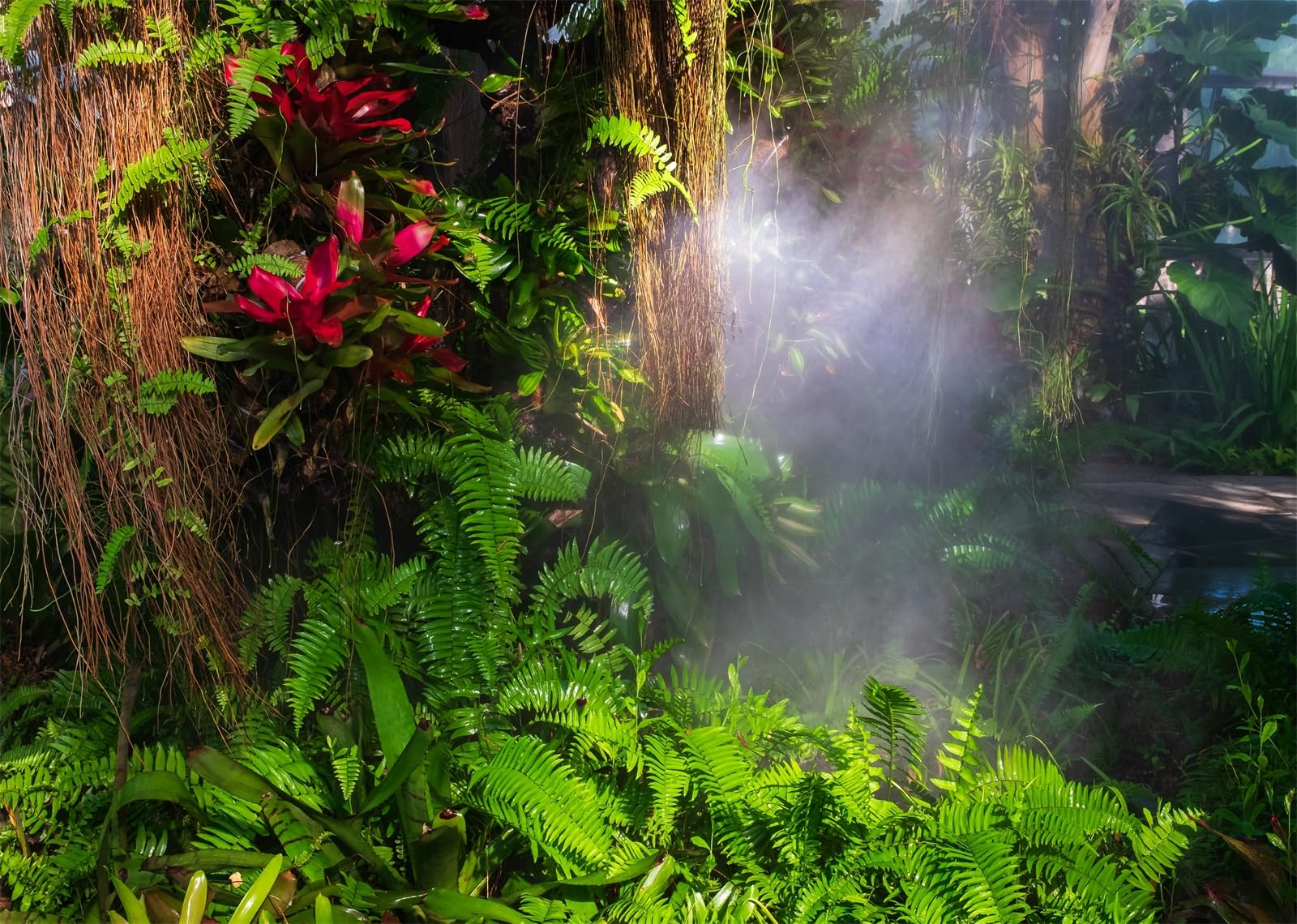 10x8FT Foresta Tropicale Nebbiosa Sfondo Fotografico