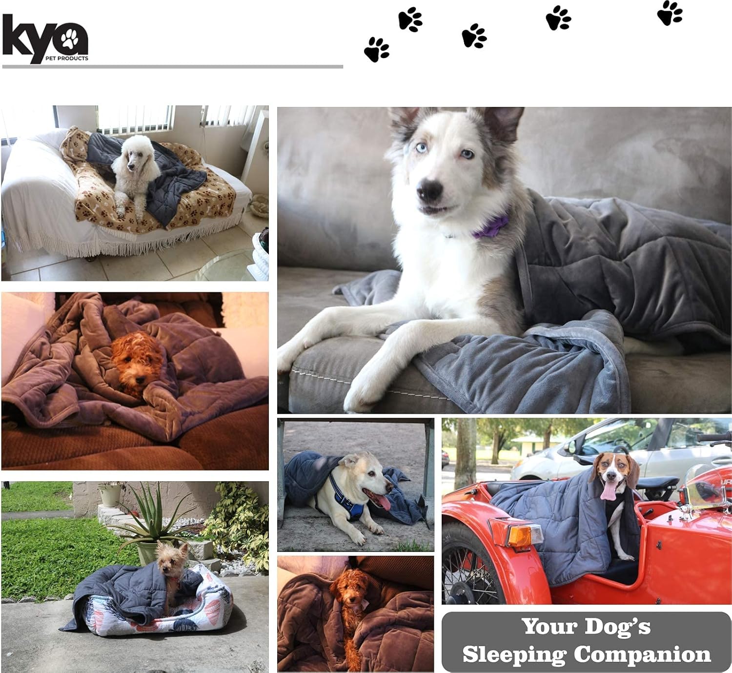weighted pet blanket