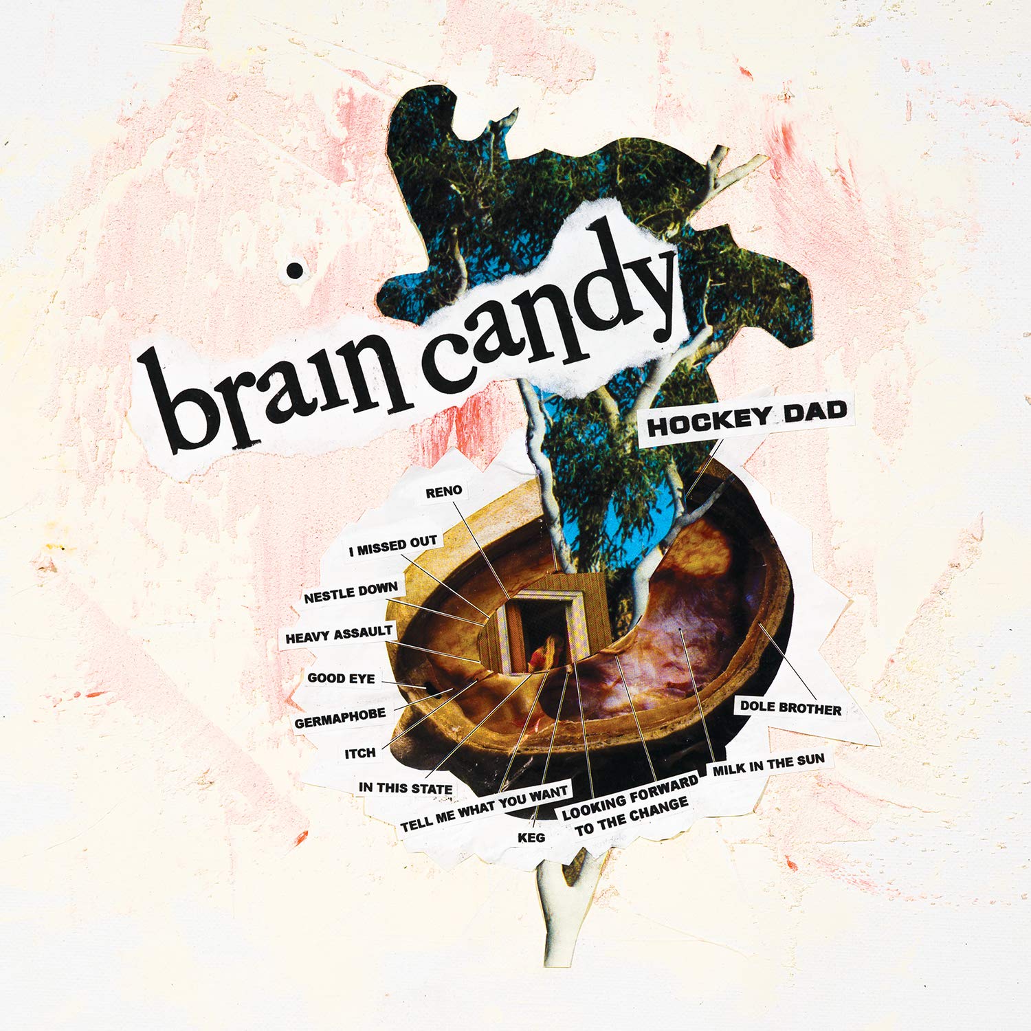Brain Candy [VINYL]