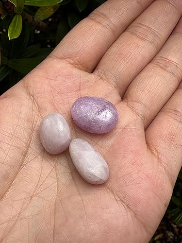 Miniatura 3 de GAF TREASURES Piedras pulidas de kunzita al por mayor, piedra preciosa natural pulida de la kunzita, rocas pulidas kunzita (Kunzita, 0.25 libras)