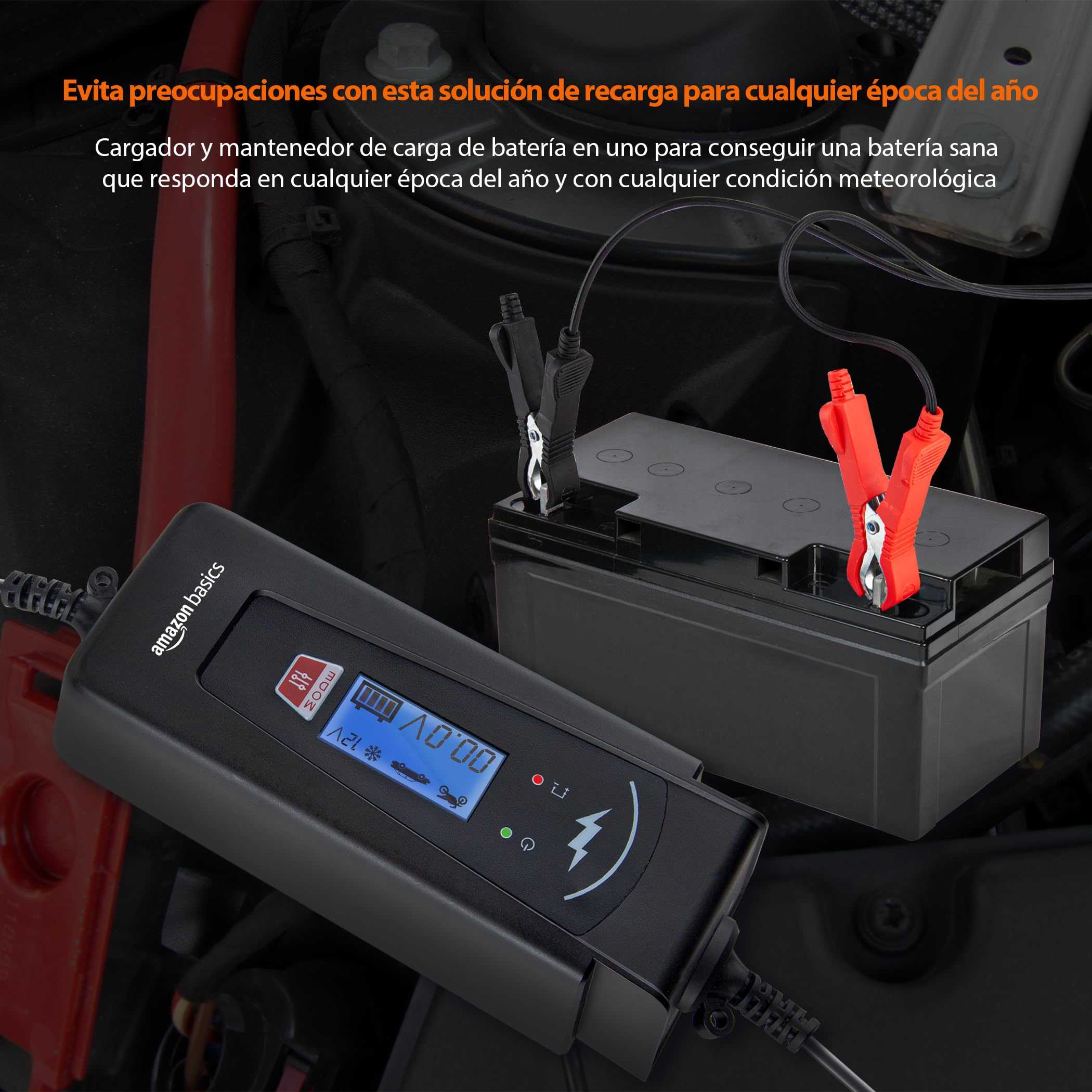 Amazon Basics Cargador de batería inteligente automático con función de probador de batería, enchufe UE, salida : 2A/4A, 6V/12V CC, Negro