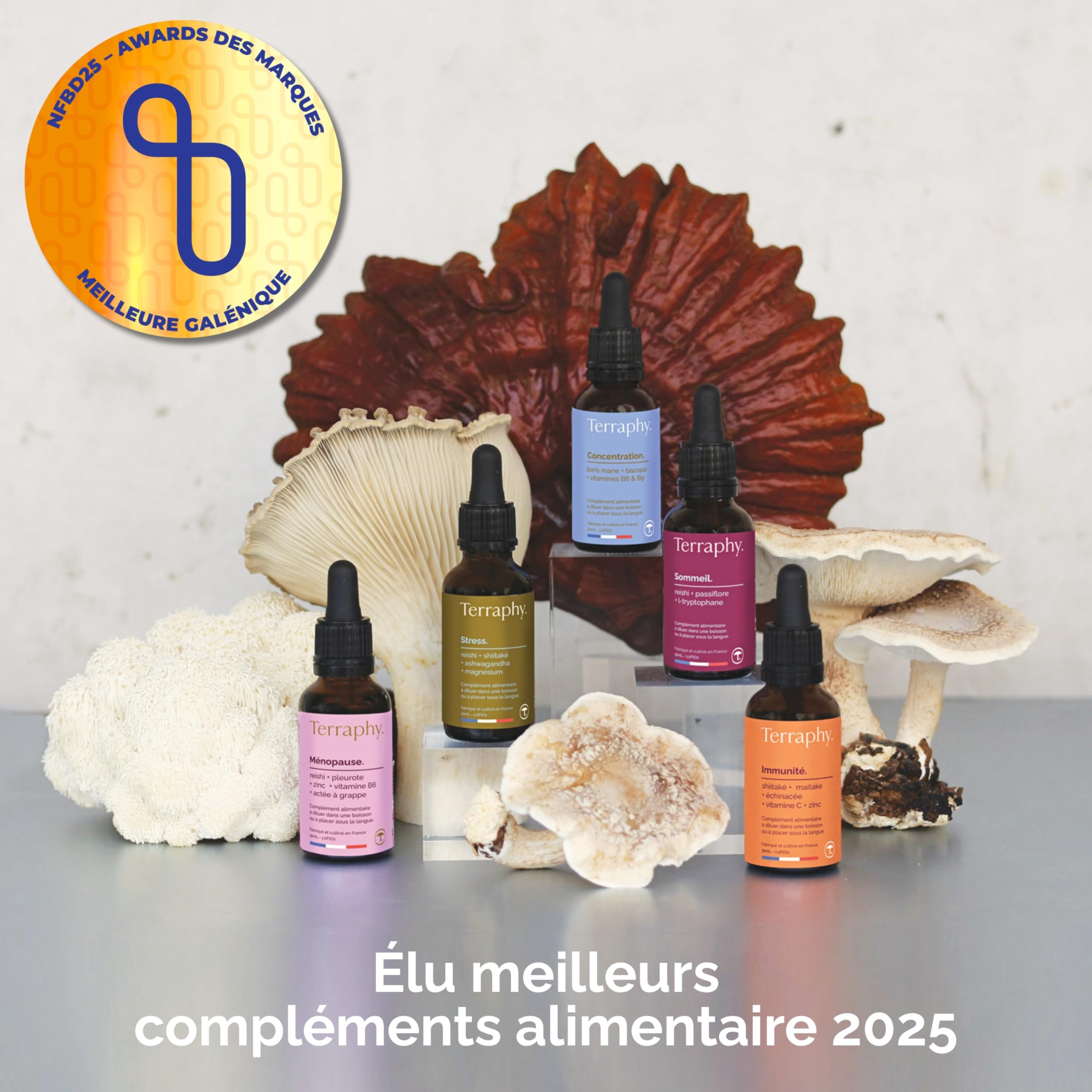 Cure Concentration 30 jours Champignons Adaptogènes - Lion’s Mane, Bacopa & Vitamines B6 B9 - Développe Focus, Mémoire et Clarté Mentale - Formule Liquide Bio Ultra Efficace