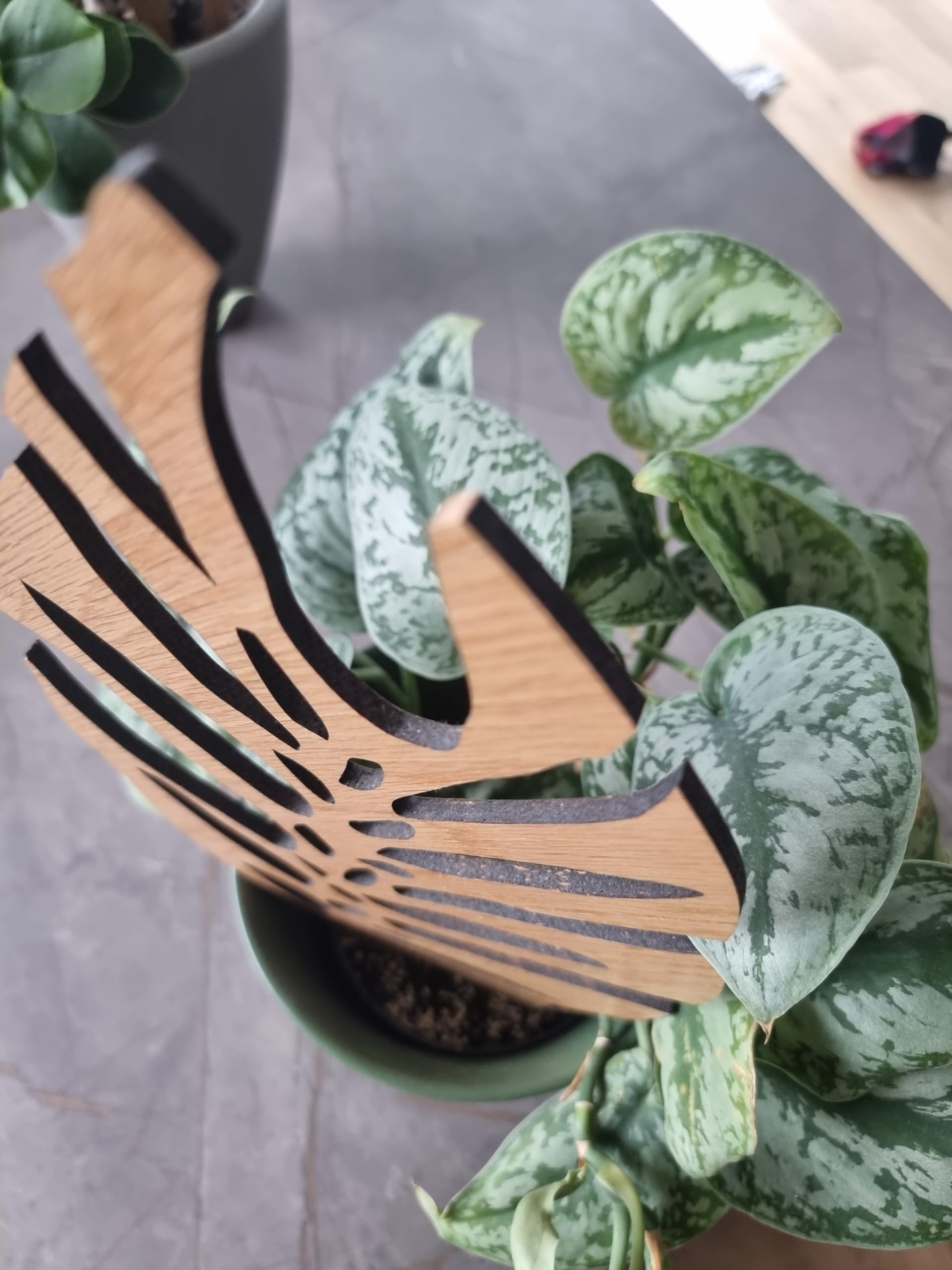 Woodream Monstera Pflanzenstütze aus Eichenholz 60 cm | Größe L | Natürliches Rankgitter - Blumengitter - Rankhilfe | Für Zimmerpflanzen | Innenraum Dekoration | Für Pflanzenliebhaber