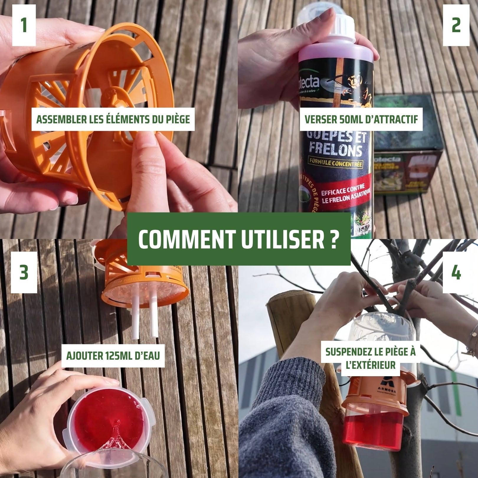 Protecta® Piège à Frelons Asiatique Sélectif - Capture Uniquement Les Frelons Asiatiques – Piège Réutilisable sans Insecticide- Usage Extérieur Jardin & Terrasse (1)