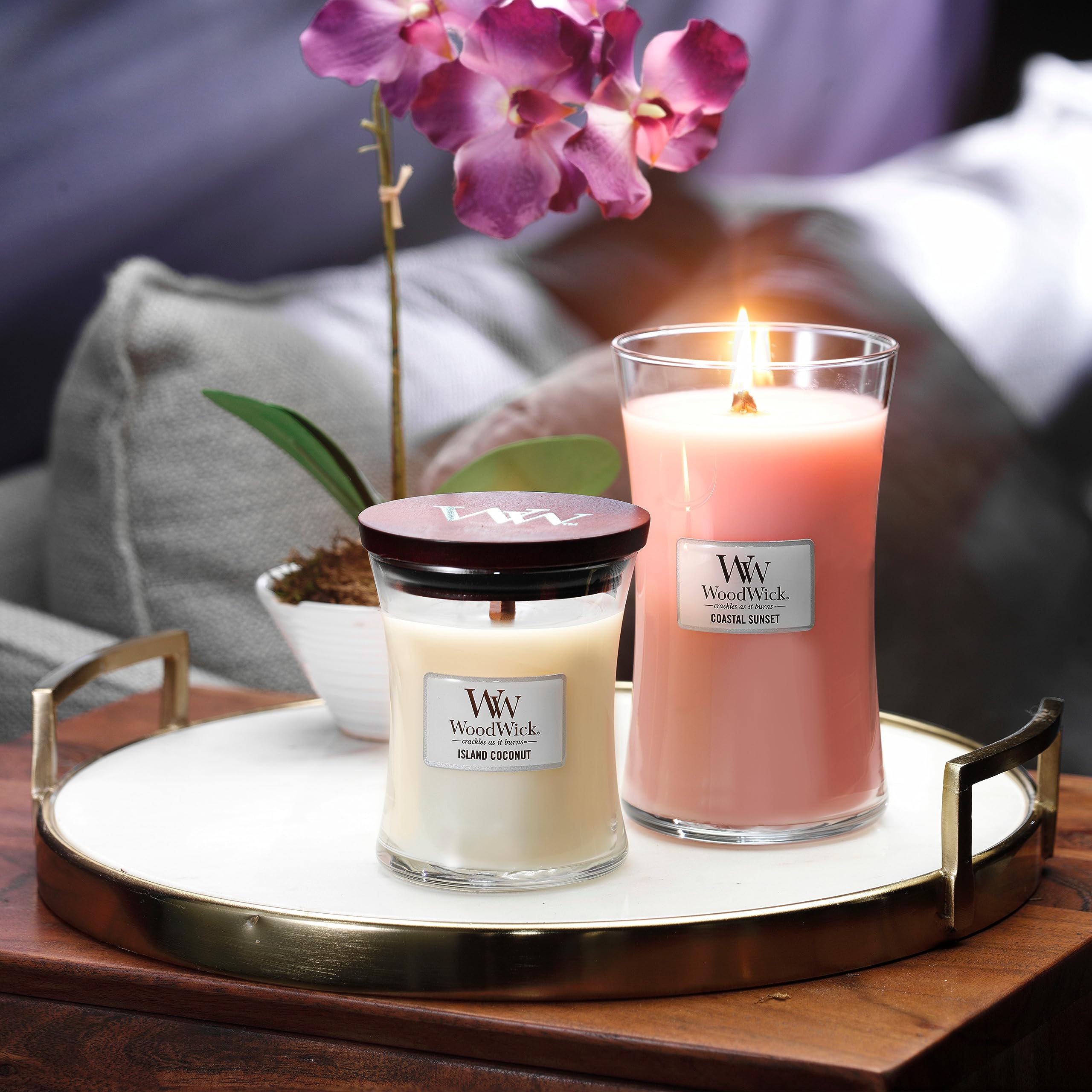 WoodWick Candela profumata Hourglass media con stoppino crepitante | Island Coconut | Durata della fragranza: fino a 60 ore