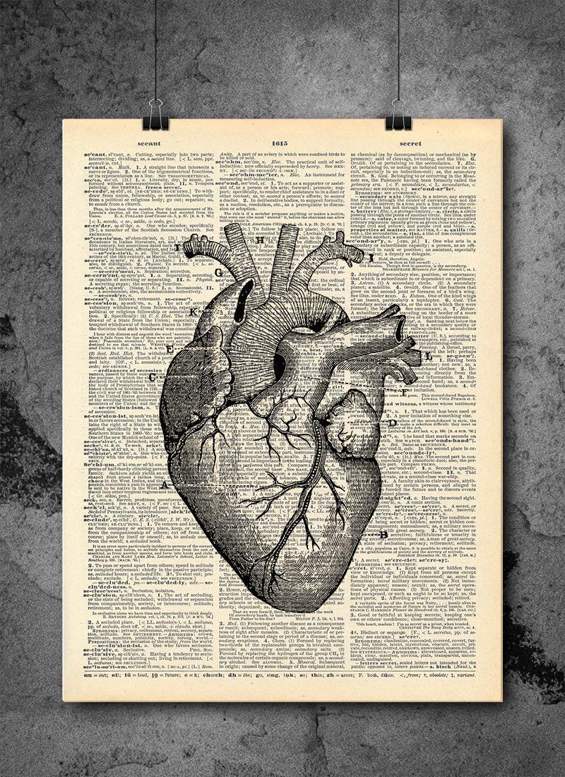 Heart - Science Anatomy Anatomy Art - Authentic Upcycled Dictionary Art Print - Home or Office Decor (D248)