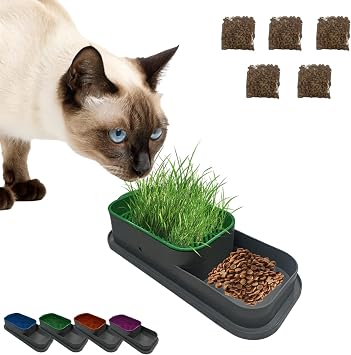 Topraks z Kedi  imi Kab  Mavi   5 Paket  im Tohumlu Hidroponik  im Yeti tirme Seti   Kediler i in Do al  im Yeti tirme Kutusu   Evde Kolay  imlendirme ve Sindirim Deste i