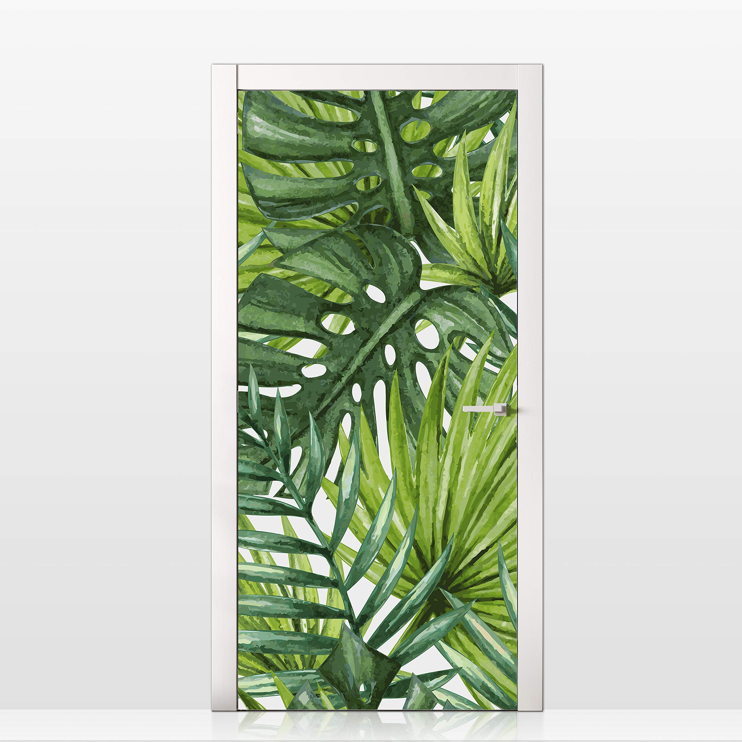 philodendron schottianum Philodendron schottianum — Ecuagenera USA Corp main image 0