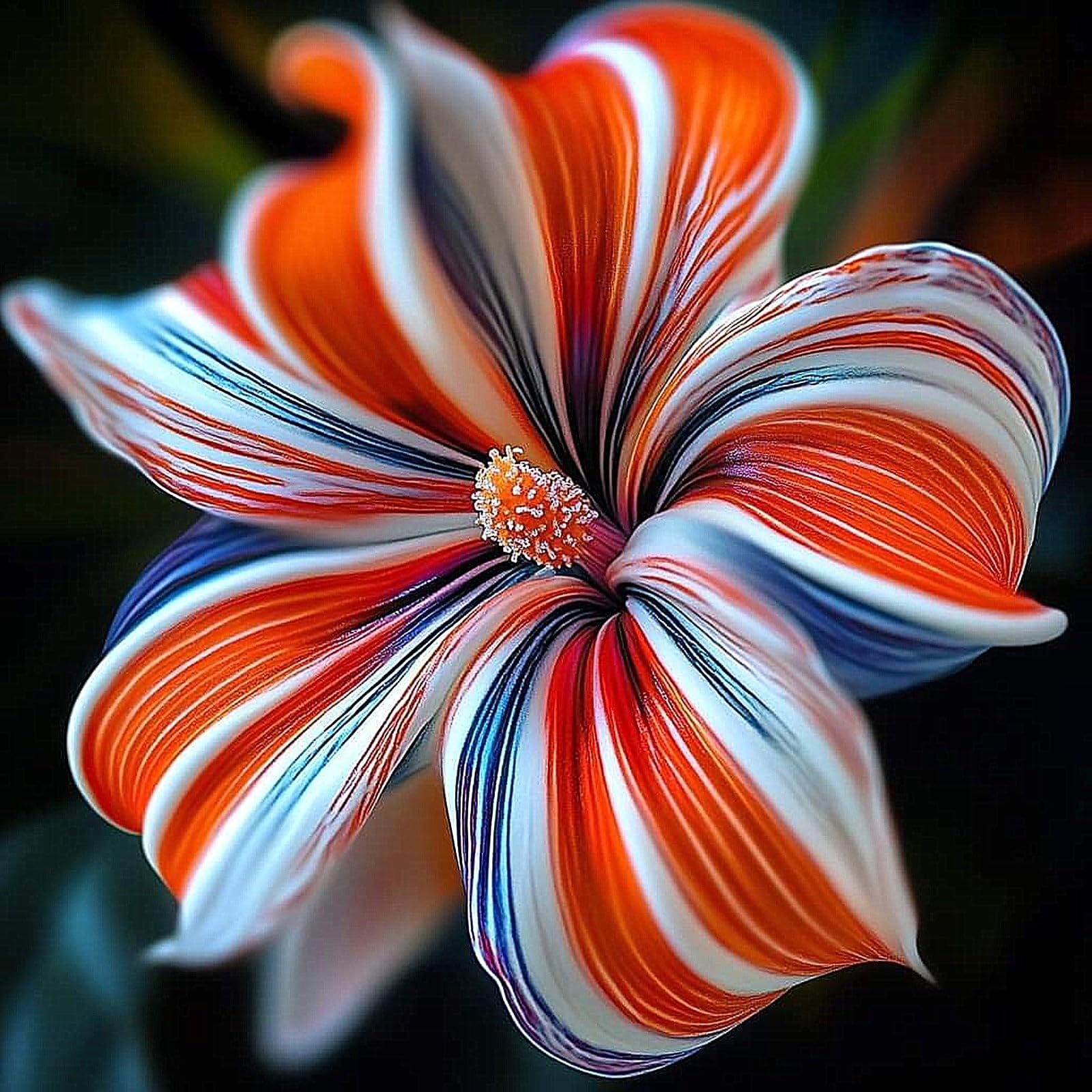 Hardy Flowering Hibiscus Perennial – UK Garden Display-2rhizome-I