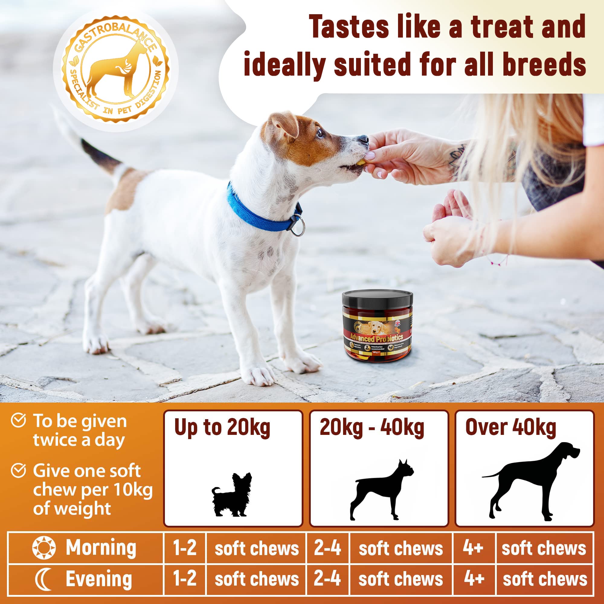 Traitement Chien probiotiques – 60 croquettes Naturelles pré et probiotiques pour Chiens - Goût Poulet (English)