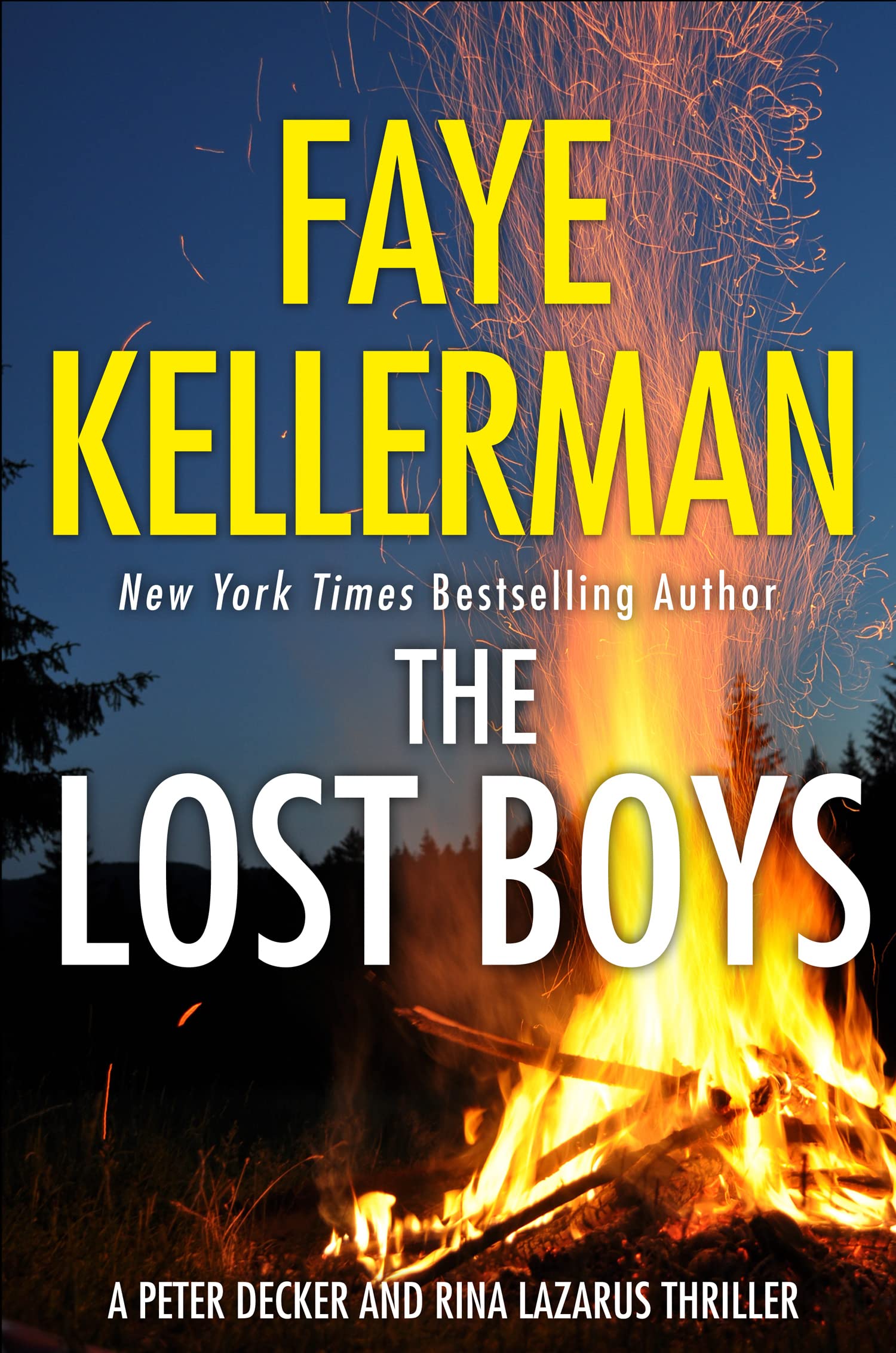 The Lost Boys by Faye Kellerman (Paperback Book)