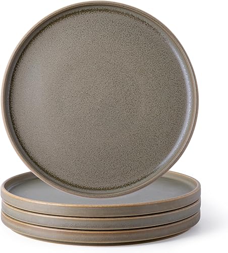 AmorArc Juego de 4 platos de cerámica para ensalada, juego de 4 platos reactivos de esmalte mate de 8.0 pulgadas, postre, ensalada, aperitivo, plato disponible en Yaxa Peru